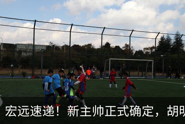 宏远速递！新主帅正式确定，胡明轩最新伤情出炉，徐昕下赛季不回归